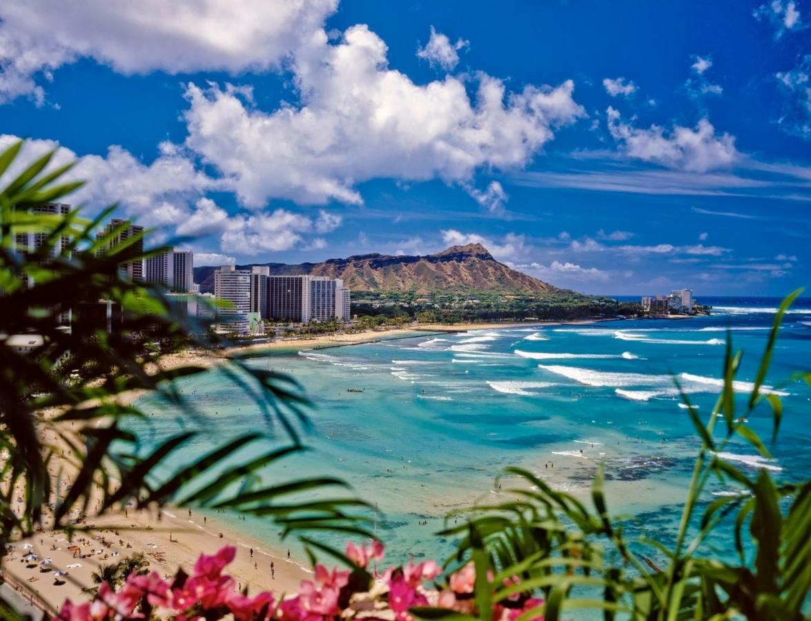 City View Studio With Pool Access In Aloha Surf! Honolulu Exteriör bild
